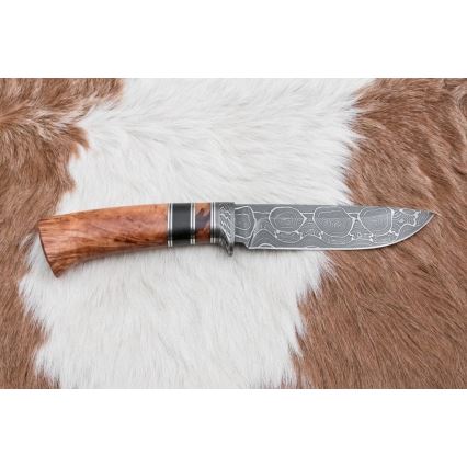 Damaskus jaktkniv 13 cm lönn/ebenholts
