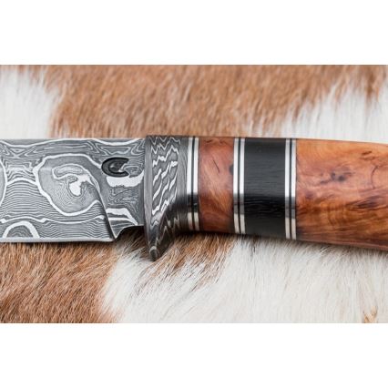 Damaskus jaktkniv 13 cm lönn/ebenholts