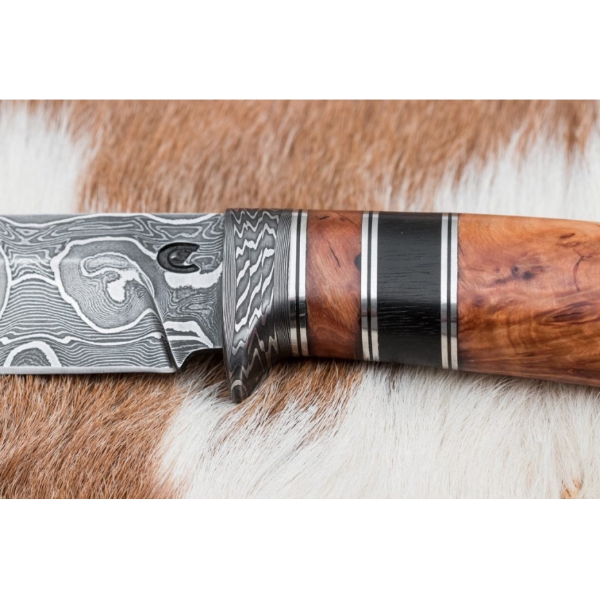 Damaskus jaktkniv 13 cm lönn/ebenholts