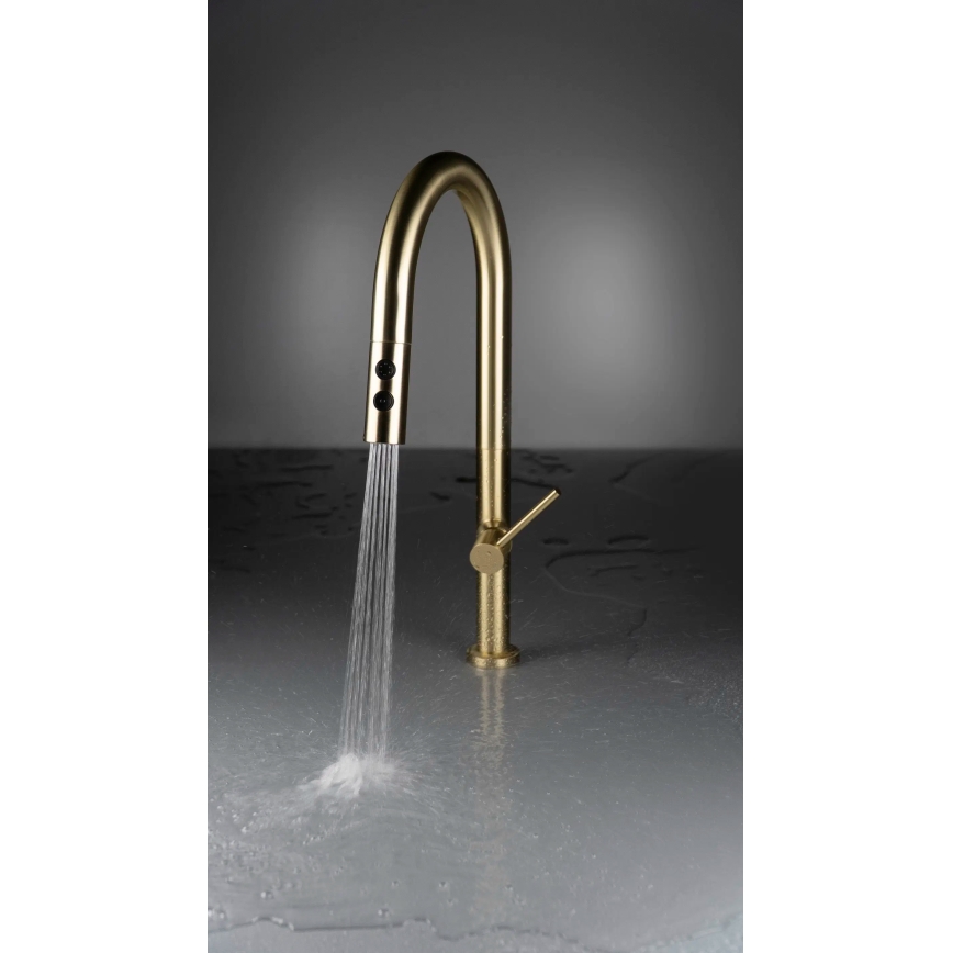 Deante BQO_R72M - Tvättställsblandare med utdragbar spruta OLFATO borstad guld