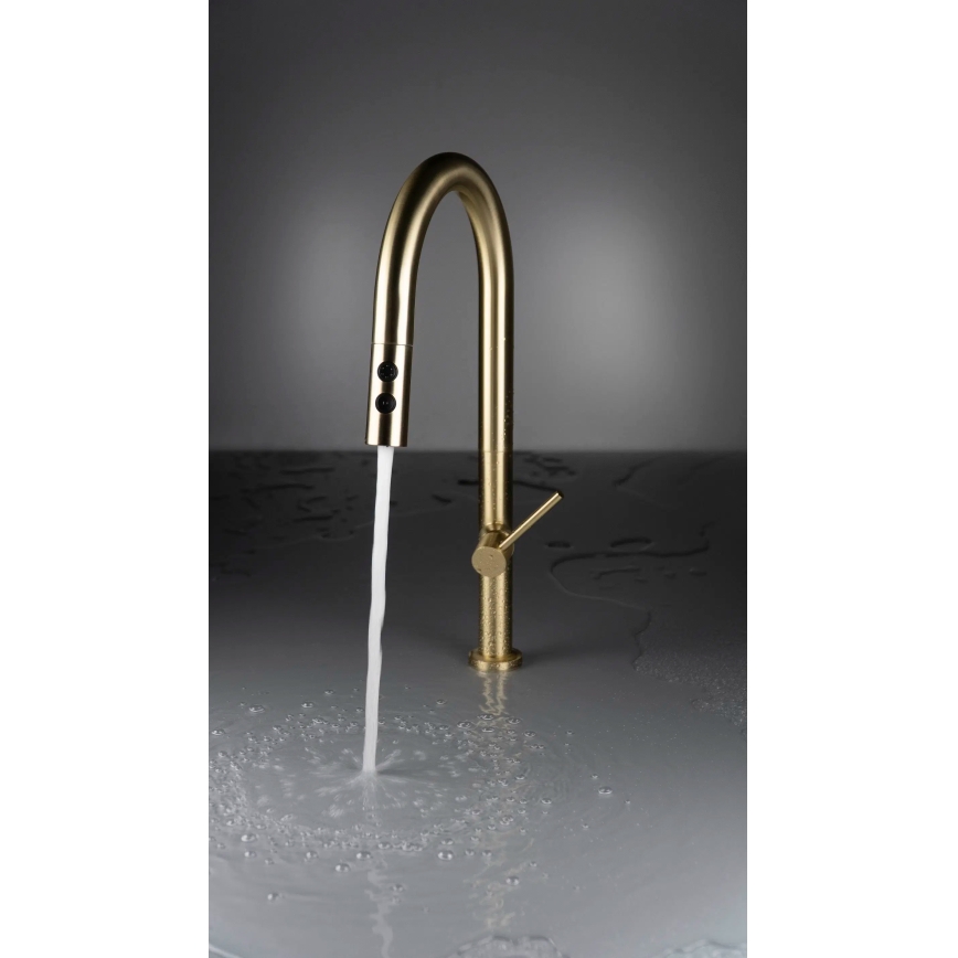 Deante BQO_R72M - Tvättställsblandare med utdragbar spruta OLFATO borstad guld