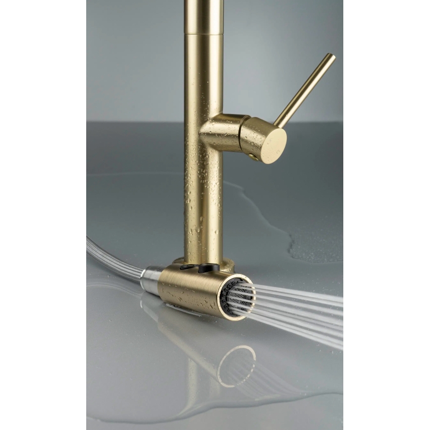 Deante BQO_R72M - Tvättställsblandare med utdragbar spruta OLFATO borstad guld