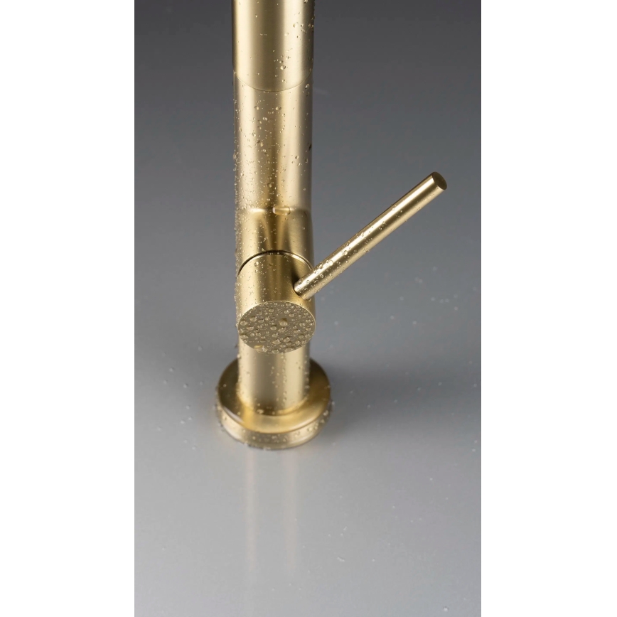 Deante BQO_R72M - Tvättställsblandare med utdragbar spruta OLFATO borstad guld