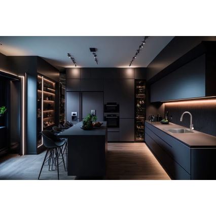 Deante ZPO_010A - Diskho för kök OLFATO 50,5x45 cm borstad stål