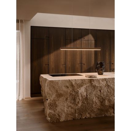 DFTP by Nordlux - LED dimbar takpendel på vajer AKENO LED/25W/230V 3000K ask