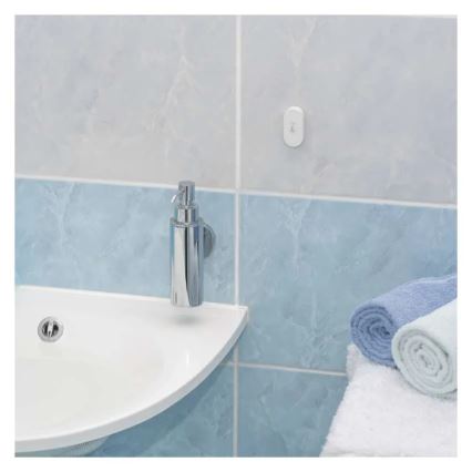 Digital trådlös termometer GoSmart 1×CR2032