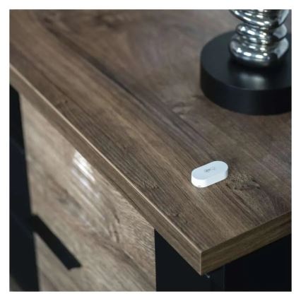 Digital trådlös termometer GoSmart 1×CR2032