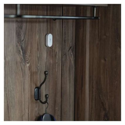 Digital trådlös termometer GoSmart 1×CR2032