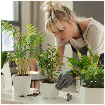 LED dimmbar bordslampa för växtodling VERDI LED/12W/230V 4500K CRI 95 vit