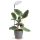 Dimbar LED-bordslampa för växtodling VERDI LED/5W/5V 1300K CRI 95 vit