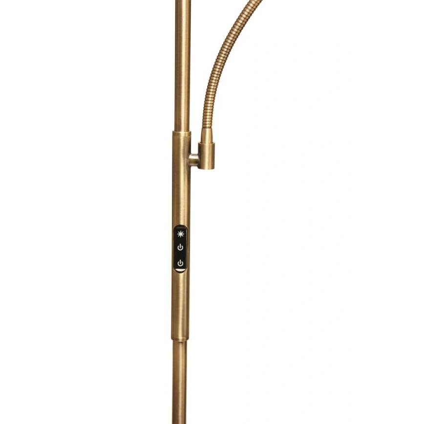 Dimmbar LED-golvlampa NORA LED/25W/230V 2200/3000/4000K + LED/5W 3000K guld + fjärrkontroll