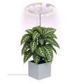 Dimbar LED-inomhuslampa för odling av växter GROW LED/8W/5V