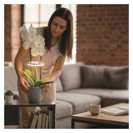 Dimbar LED-inomhuslampa för odling av växter GROW LED/8W/5V