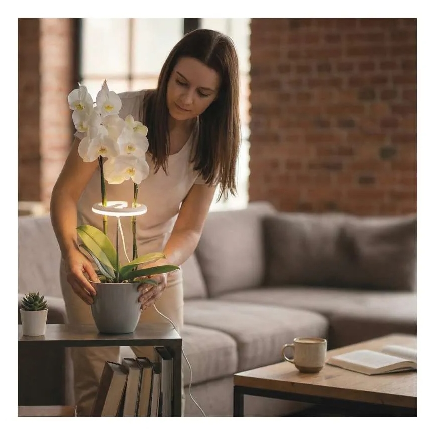 Dimbar LED-inomhuslampa för odling av växter GROW LED/8W/5V