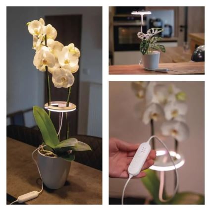 Dimbar LED-inomhuslampa för odling av växter GROW LED/8W/5V
