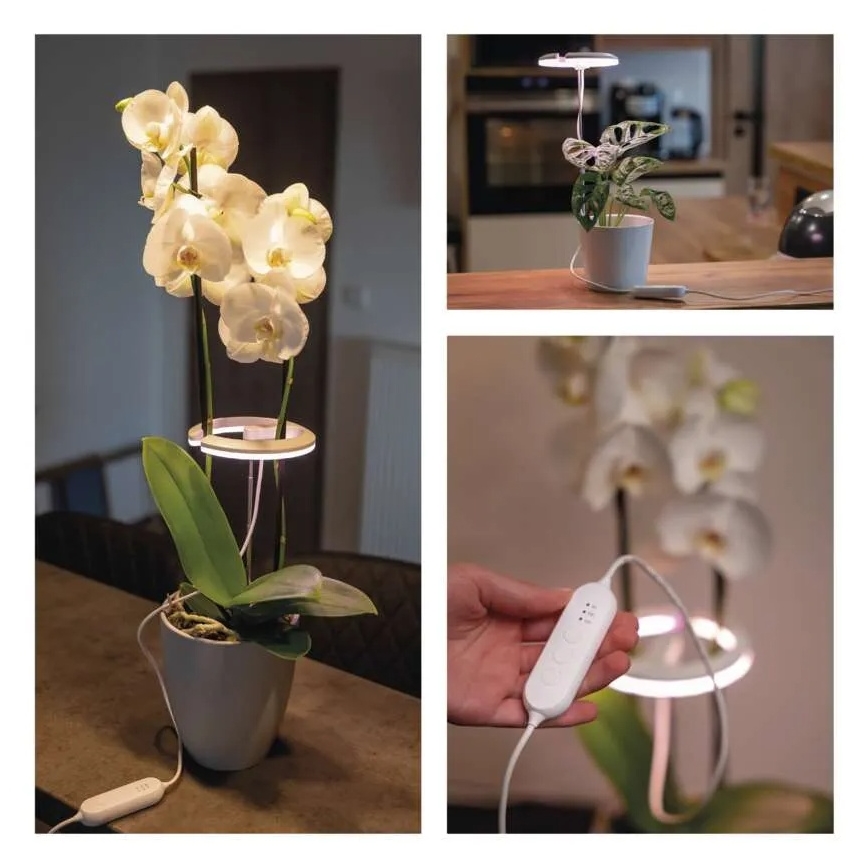 Dimbar LED-inomhuslampa för odling av växter GROW LED/8W/5V