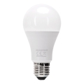 Dimbar LED-lampa A60 E27/12W/230V 6500K - Aigostar