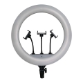 Dimbar LED-lampa med stativ och hållare för vloggning, LED/55W/230V, CRI 90 + fjärrkontroll