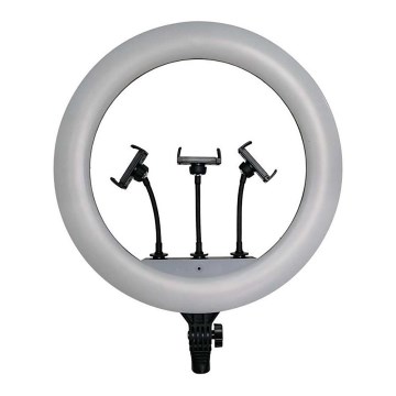 Dimbar LED-lampa med stativ och hållare för vloggning, LED/55W/230V, CRI 90 + fjärrkontroll