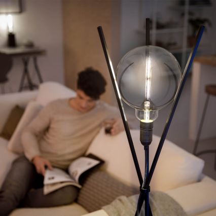 Dimbar LED-lampa SMOKY VINTAGE Philips A160 E27/6,5W/230V 4000K