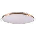Dimbar LED-takarmatur KERN LED/80W/230V 3000/4000/6000K Ø 80 cm, guld, med fjärrkontroll