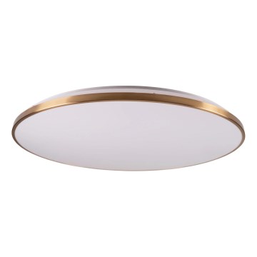 Dimbar LED-takarmatur KERN LED/80W/230V 3000/4000/6000K Ø 80 cm, guld, med fjärrkontroll