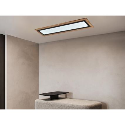 Dimbar LED-taklampa 55W/230V 3000-6500K + fjärrkontroll