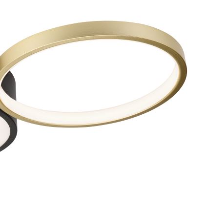 Dimbart takarmatur ALIZEE LED/30W/230V 3000-6500K svart/guld