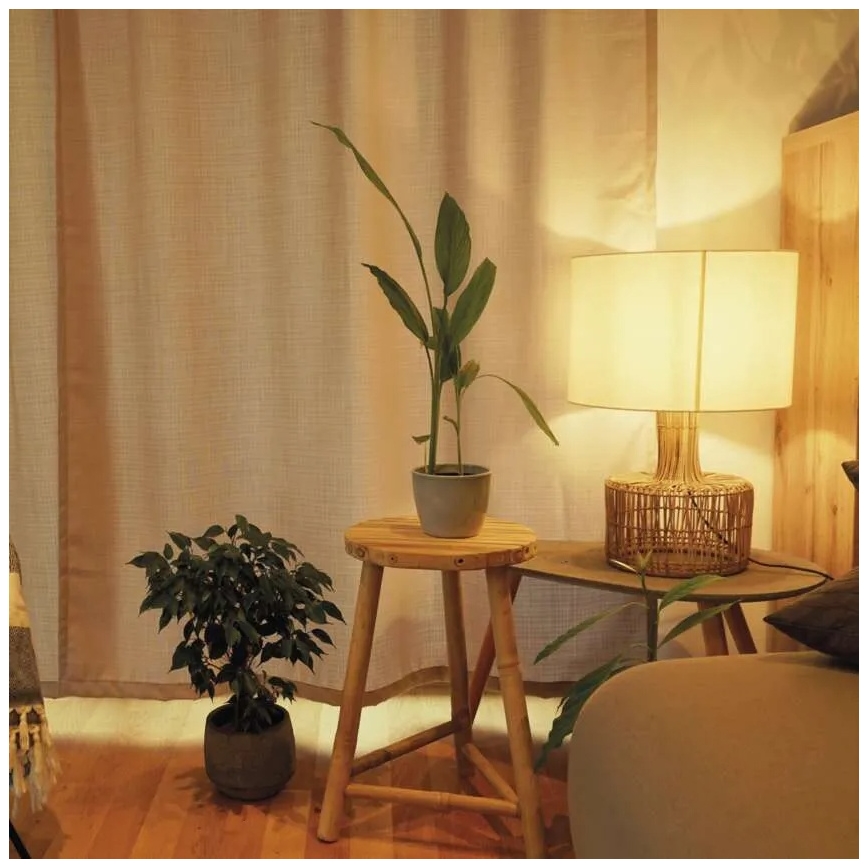 Dimmbar LED-lampa A60 E27/10,5W/230V 2700K