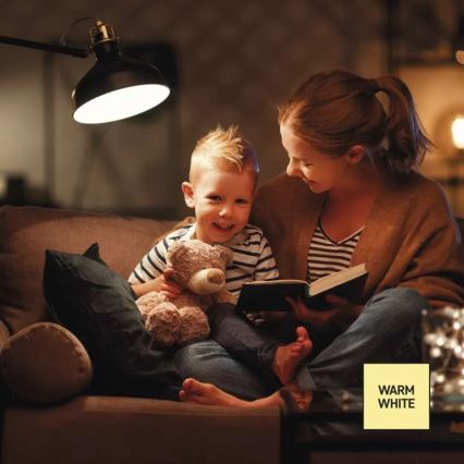 Dimmbar LED-lampa A60 E27/10,5W/230V 2700K