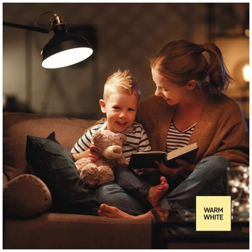 Dimmbar LED-lampa A60 E27/10,5W/230V 2700K