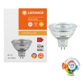 Dimmbar LED-reflektorlampa MR16 GU5,3/6,6W/12V 3000K 36° CRI 97 - Ledvance