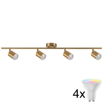 Dimmbar LED RGBW-spot GOLDIE 4xGU10/4,8W/230V 3000K guld + fjärrkontroll