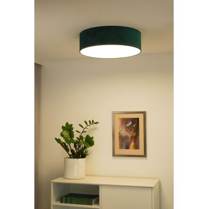 Duolla - LED Taklampa CORTINA LED/26W/230V Ø 30 cm 4000K grön