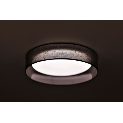 Duolla - LED taklampa ROLLER LED/24W/230V diameter 45 cm antracit