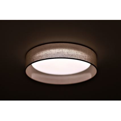 Duolla - LED taklampa ROLLER LED/24W/230V diameter 45 cm ljusgrå