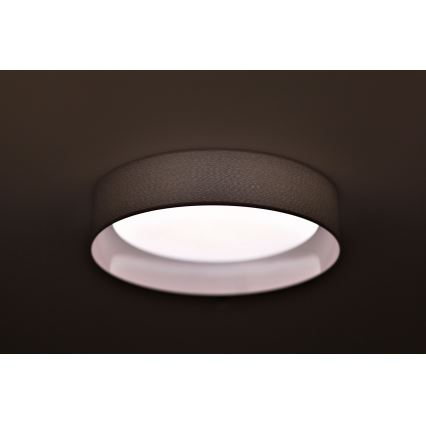 Duolla - LED taklampa ROLLER LED/24W/230V diameter 45 cm ljusgrå