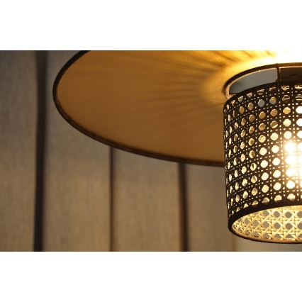 Duolla - Ytmonterad ljuskrona TOKYO RATTAN 1xE27/15W/230V diameter 50 cm guld/svart
