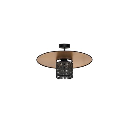 Duolla - Ytmonterad ljuskrona TOKYO RATTAN 1xE27/15W/230V diameter 50 cm guld/svart