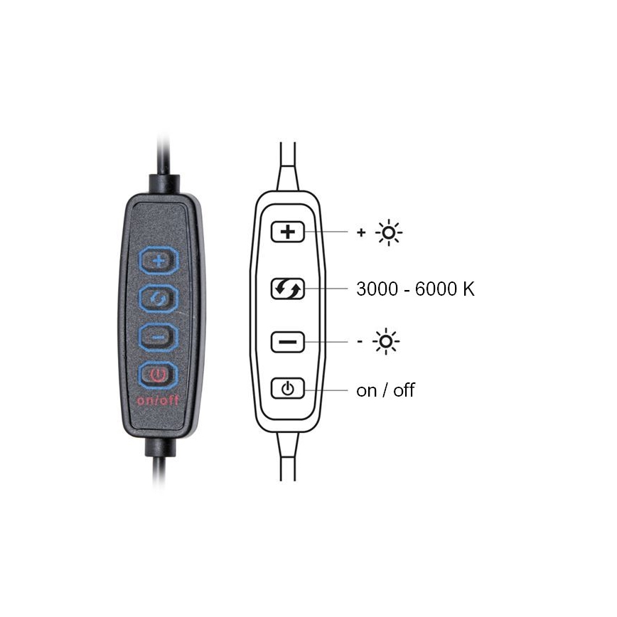 LED Dimbar bordslampa LIPA LED/10W/230V 3000-6000K vit