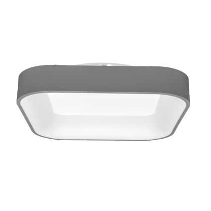 LED Dimbart takarmatur NEST LED/40W/230V 3000-6500K grå + fjärrkontroll