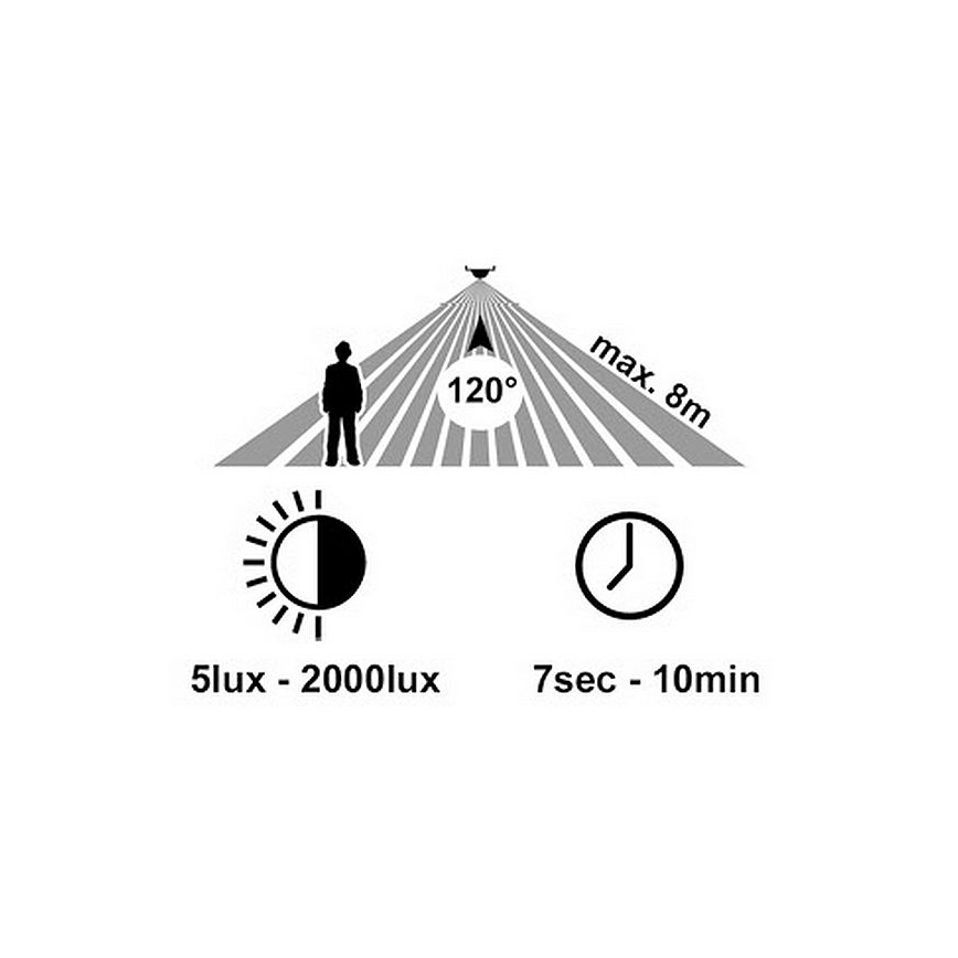 LED Utomhus vägglampa med sensor RITA LED/12W/230V 4000K IP65