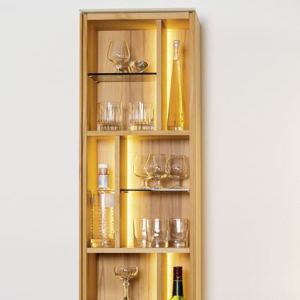 Eglo - LED RGB-remsa 5m STRIPE-C LED/19W/230V