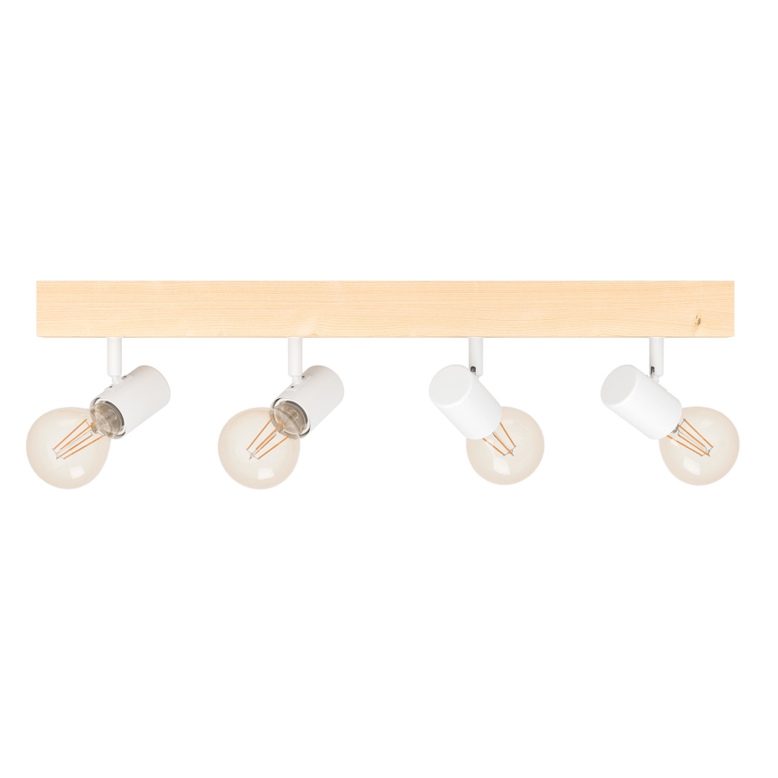 Eglo 33172 - Spotlight TOWNSHEND 4xE27/60W/230V