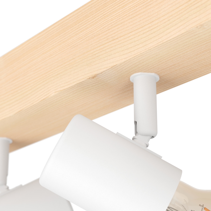 Eglo 33172 - Spotlight TOWNSHEND 4xE27/60W/230V