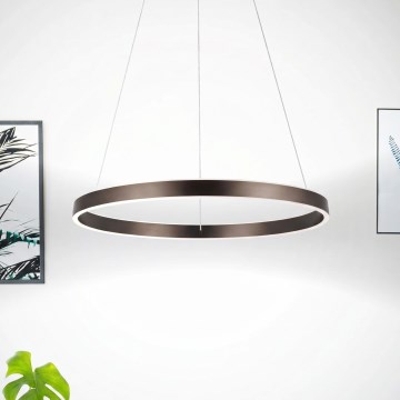 Eglo 33483 - LED-takpendel på vajer ALCAZABA, 2xLED/18W/230V, 3000K, Ø 55 cm, bronsfärgad
