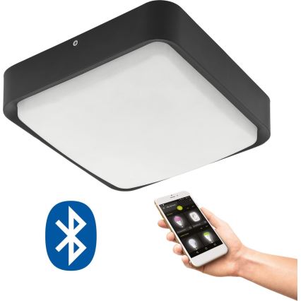 Eglo 33573 - LED Ljusreglerad utomhus tak belysning PIOVE-C LED/14W/230V IP44