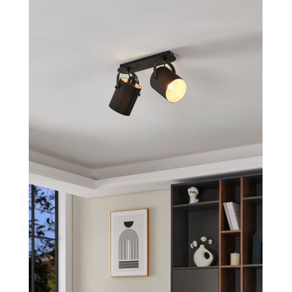Eglo 33646 - Takspot VILLABATE 2xE27/10W/230V