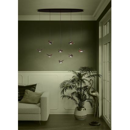 Eglo - LED ljusreglerad ljuskrona på textilsladd 8xLED/4,2W/230V 3000K svart