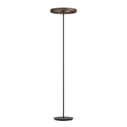 Eglo - LED dimmerbar golvlampa med rörelsesensor 2xLED/19W/230V 2200-6500K brun